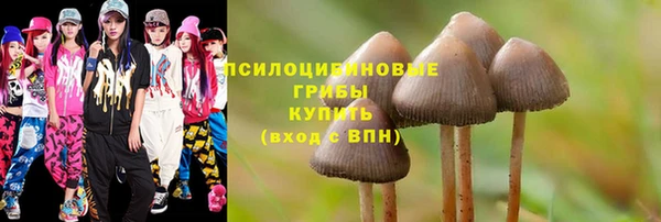 крисы Осинники
