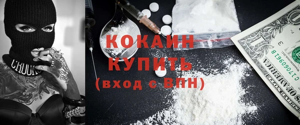 крисы Осинники