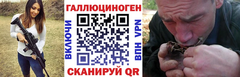 Псилоцибиновые грибы Psilocybine cubensis  blacksprut зеркало  Кедровый 